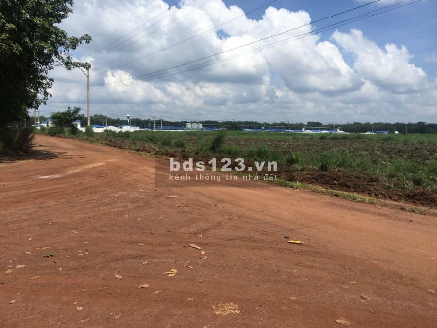 Đất chính chủ Bình Phước giá rẻ tiện đầu tư, sổ sẵn bao sang tên công chứng ngay, chiết khấu cao