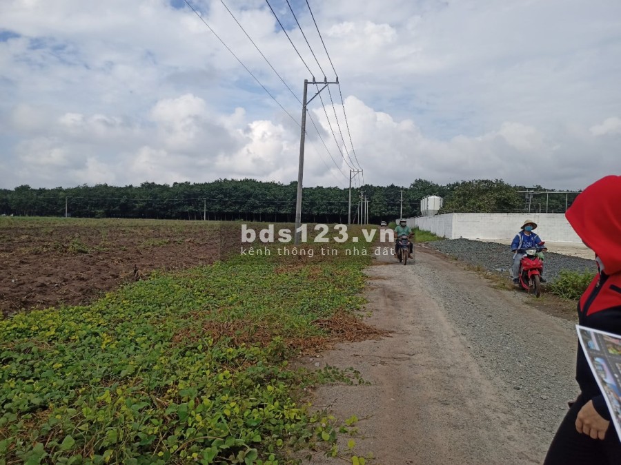 Đất chính chủ Bình Phước giá rẻ tiện đầu tư, sổ sẵn bao sang tên công chứng ngay, chiết khấu cao