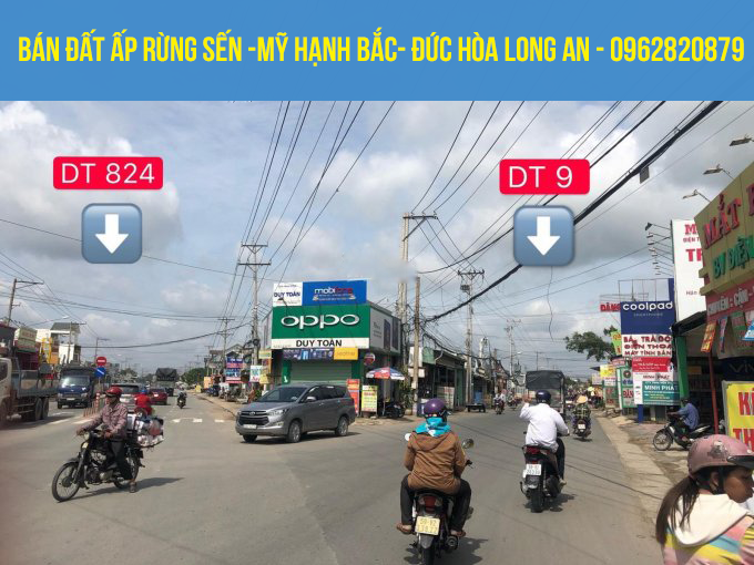 Chính chủ cần bán đất thổ cư tại Ấp Rừng Sến Mỹ Hạnh Bắc huyện Đức Hoà, Long An, giá tốt