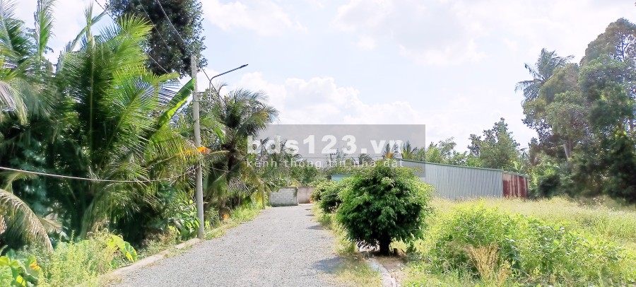 Mua đất nền thổ cư gần cầu Tân Hương với giá rẻ bất ngờ sổ chính chủ, đường lớn