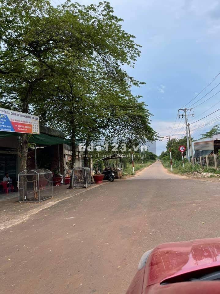 Siêu phẩm đất đỏ Bazan 80.300m2 có 2 mặt tiền 650m2 thổ cư tại Châu Đức, BRVT