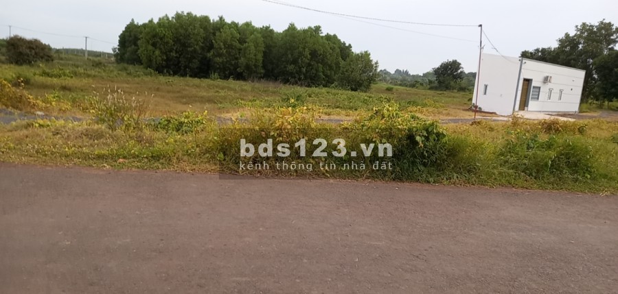 Bán đất ở khu công nghiệp Đất Đỏ 1 cơ hội đầu tư lợi nhuận cao mùa covid giá 118 triệu