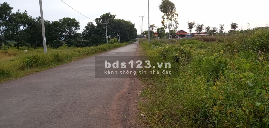 Bán đất ở khu công nghiệp Đất Đỏ 1 cơ hội đầu tư lợi nhuận cao mùa covid giá 118 triệu