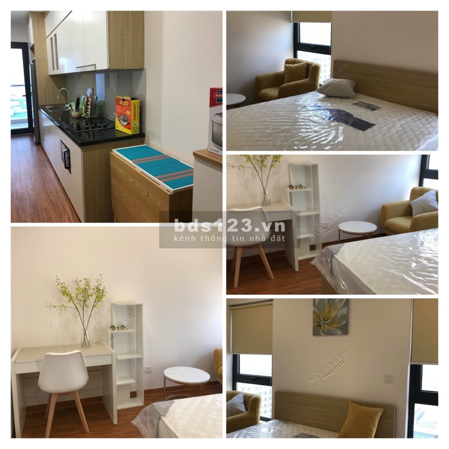 Cần cho thuê căn 1N Full nội thất chung cư The Sun tầng ca, view thoáng, giá 9 triệu/tháng