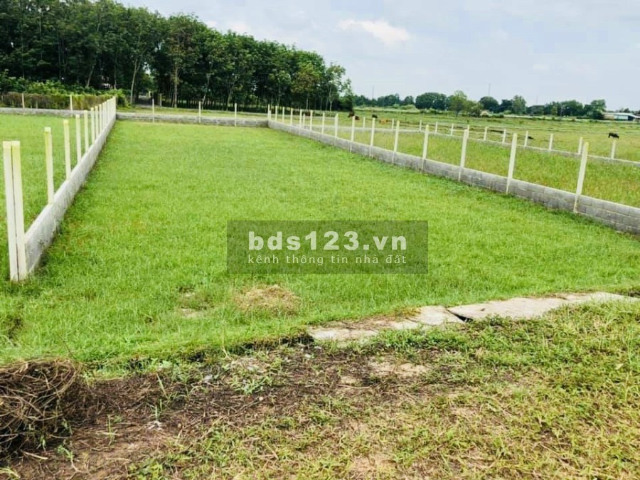 Bán đất vườn xã Nhuận Đức diện tích 500m2 giá bán 1ty4 nóng thêm từng giờ, sinh lợi từng ngày