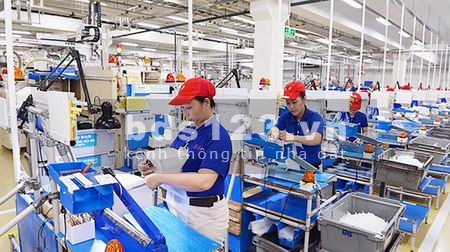 Chính chủ bán hết 9000m2 đất, sổ hồng riêng cạnh kcn Song Phương gần chợ UBND giá 510 triệu/sổ