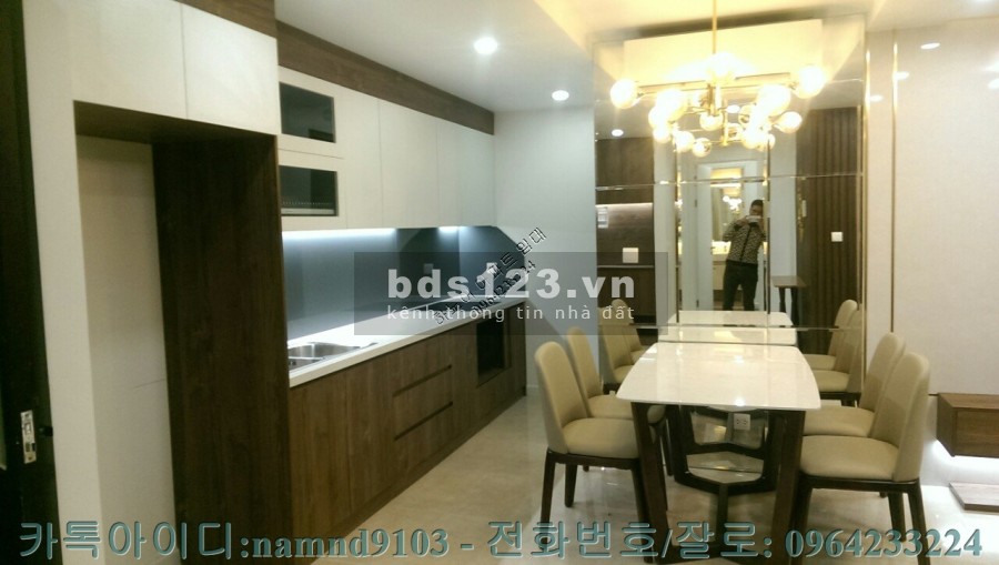 Cho thuê căn 2N nội thất mới chung cư Vinhomes Dcapitale tầng cao, view thoáng, lhcc