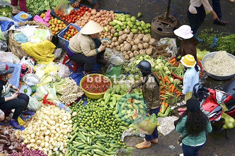 Chính chủ bán hết 9000m2 đất, sổ hồng riêng cạnh kcn Song Phương gần chợ UBND giá 510 triệu/sổ