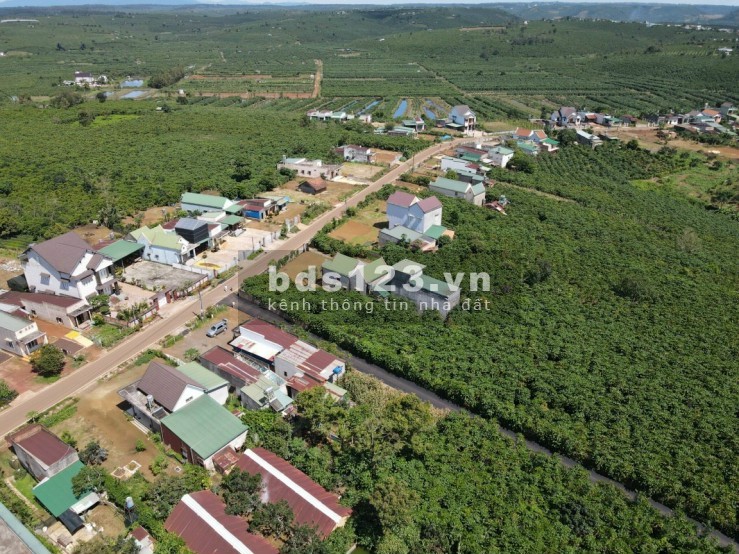 Chính chủ bán hết 9000m2 đất, sổ hồng riêng cạnh kcn Song Phương gần chợ UBND giá 510 triệu/sổ