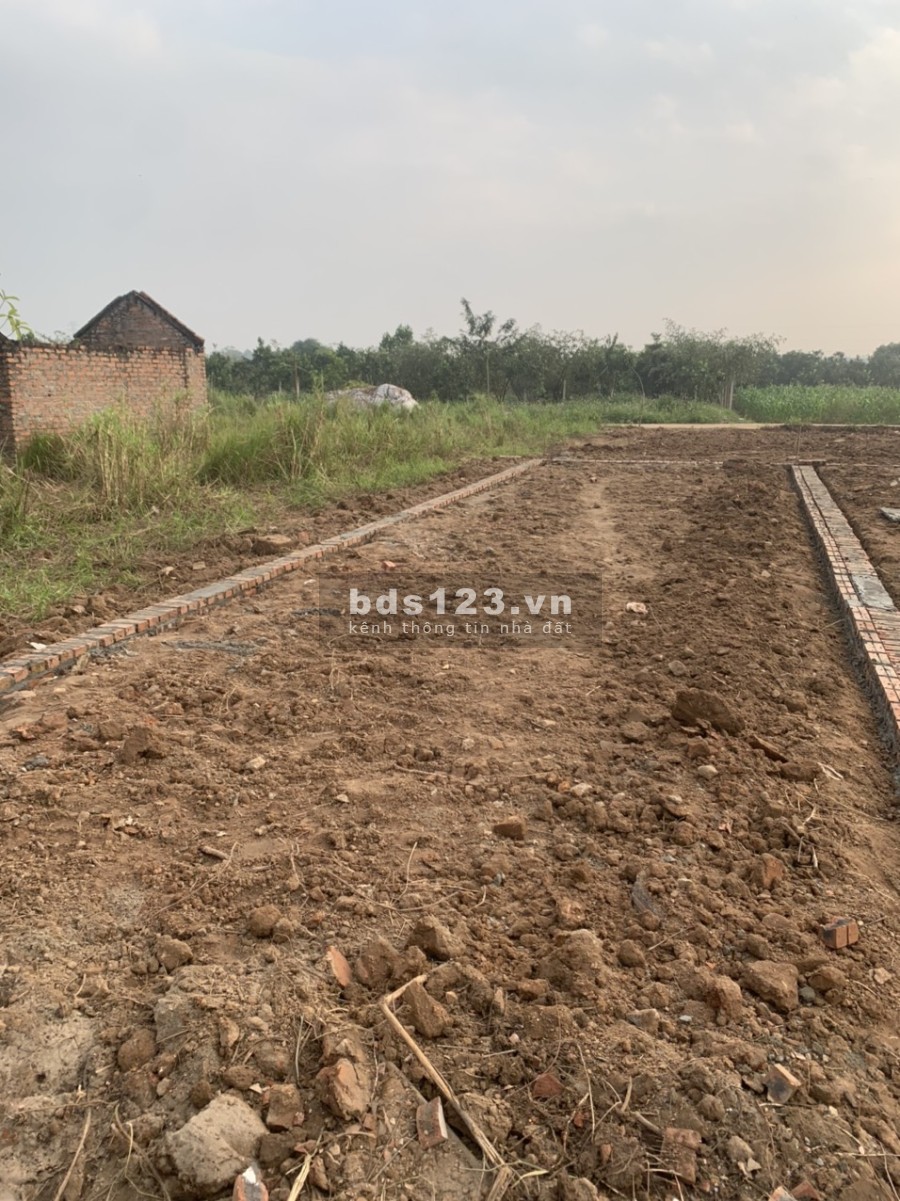Chính chủ bán đất 68.9m2 tổ 10 thị trấn Quang Minh - Mê Linh, đường ô tô, giá cắt lỗ, LH 0944596256