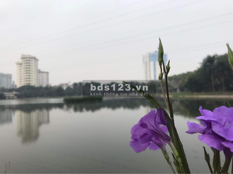 Chính chủ cần bán biệt thự nhà vườn Hoàng Mai, dtsd 136m2, 8 tầng view hồ giá bán 16 tỷ