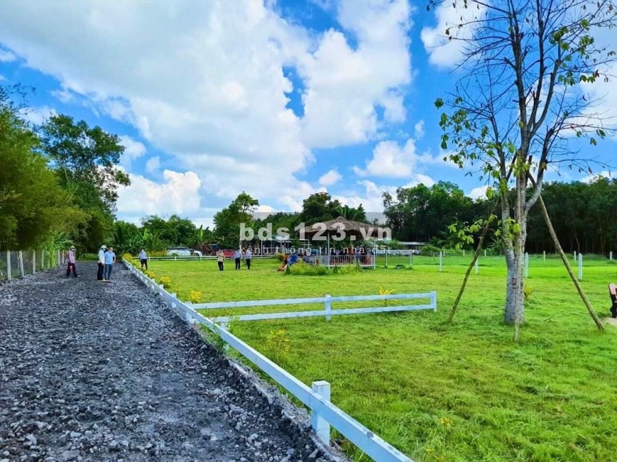 Đất vườn TP.HCM, có sổ đỏ riêng, gần dự án VinGroup và sân golf West Likes Trần Anh