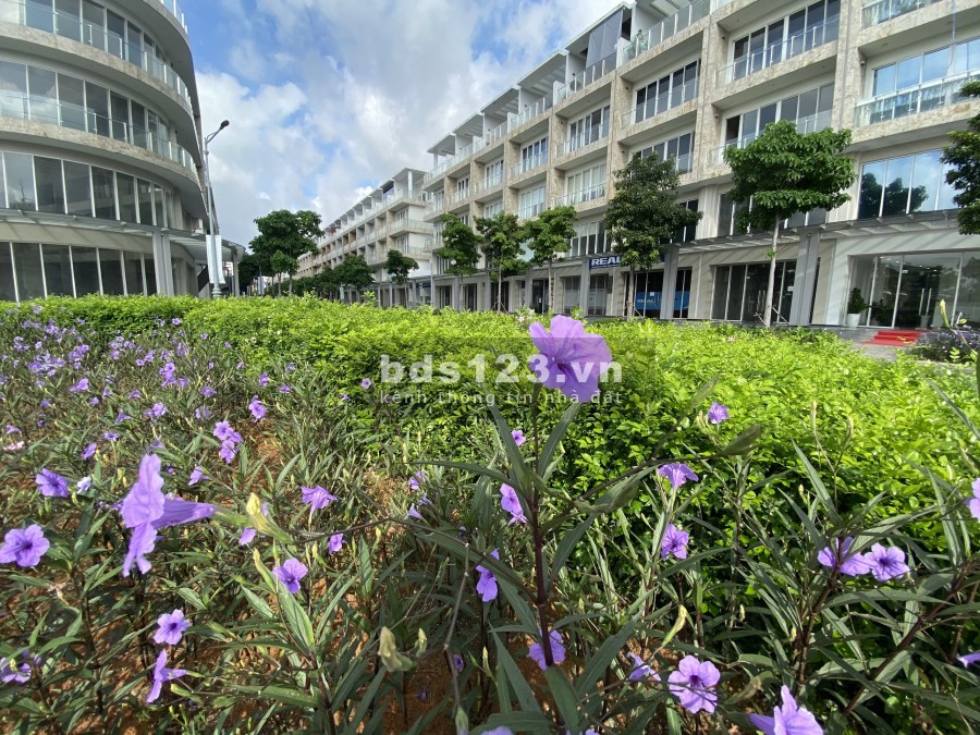 Cho thuê 2 căn Saritown liền kề, cặp góc giá cho thuê 159 triệu/tháng tiện ích nội khu đủ