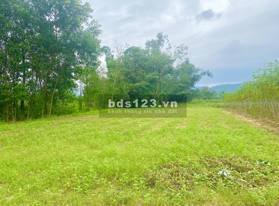 Hàng F0 Hương Xuân hiếm có khó tìm giá đầu tư mùa dịch chỉ 4 triệu/m2 đầu tư sinh lời