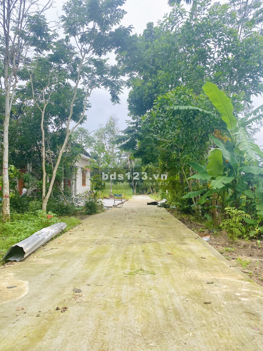 Hàng F0 Hương Xuân hiếm có khó tìm giá đầu tư mùa dịch chỉ 4 triệu/m2 đầu tư sinh lời
