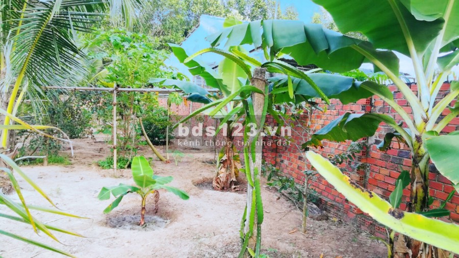 Bán gấp đất Hẻm Huỳnh Tấn Phát, Phú Thuận, Quận 7, diện tích 362m2, giá đầu tư sinh lời