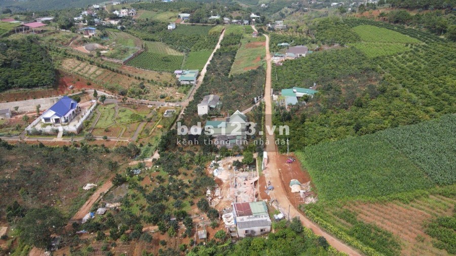 Farmstay Bảo Lộc Đà Lạt view suối tự nhiên giá chỉ 1tỷ5 khu dân cư đông đúc, đường lớn