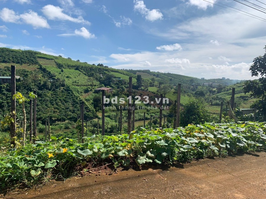 Farmstay Bảo Lộc Đà Lạt view suối tự nhiên giá chỉ 1tỷ5 khu dân cư đông đúc, đường lớn