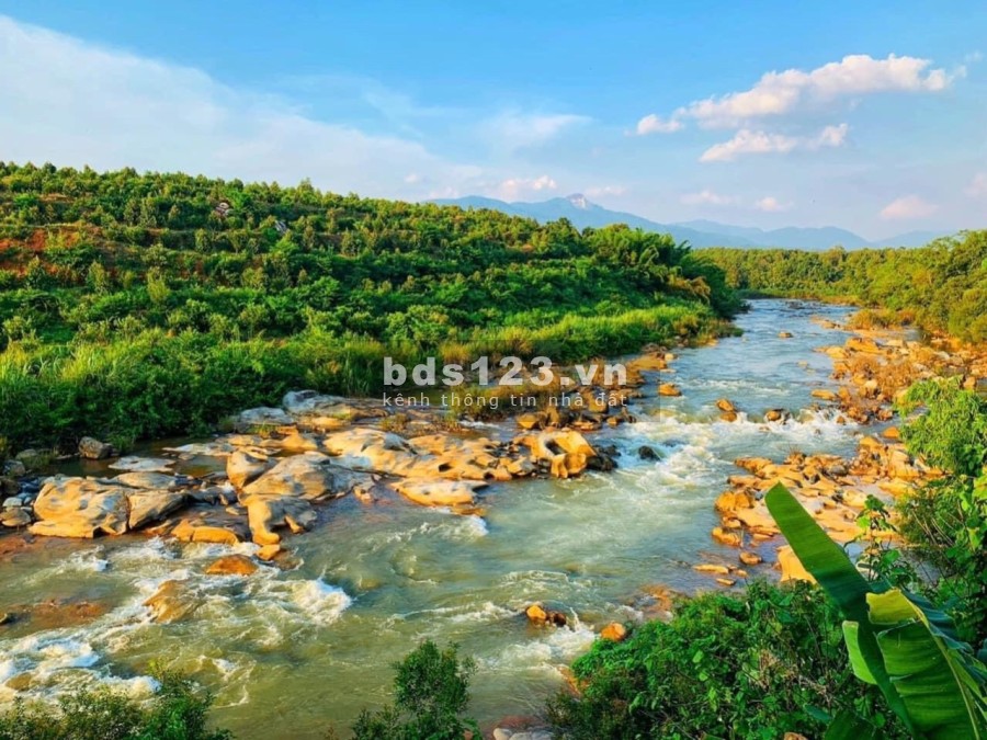 Farmstay Bảo Lộc Đà Lạt view suối tự nhiên giá chỉ 1tỷ5 khu dân cư đông đúc, đường lớn