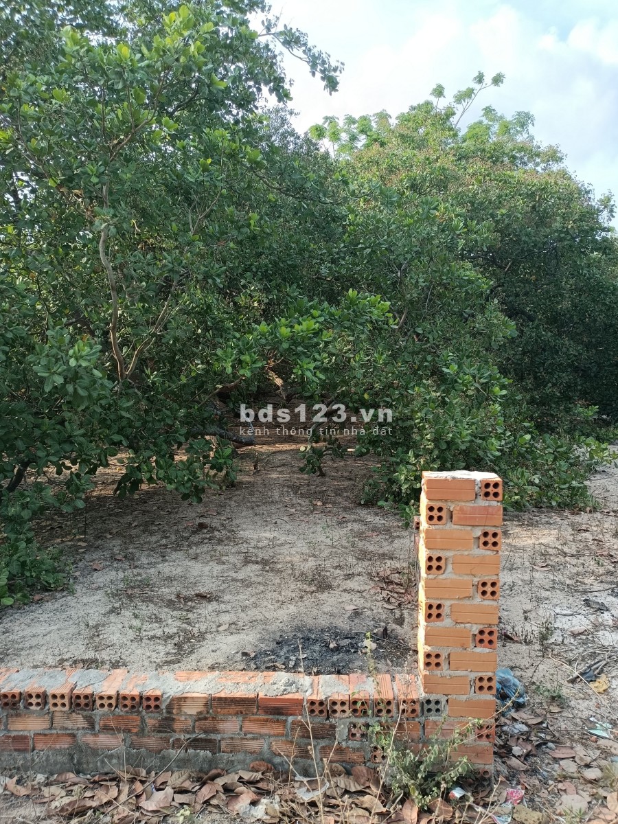 Bán lô đất liền kề khu công nghiệp Sơn Mỹ 1, 2, giá tốt đầu tư sinh lời, pháp lý đầy đủ, sổ sẵn