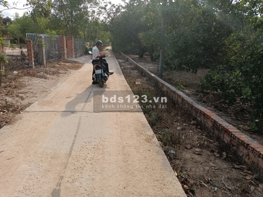 Bán lô đất liền kề khu công nghiệp Sơn Mỹ 1, 2, giá tốt đầu tư sinh lời, pháp lý đầy đủ, sổ sẵn