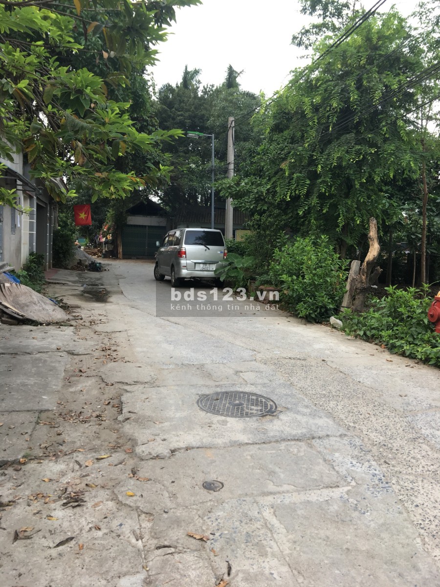 Chính chủ bán đất mặt đường Tân Phong, diện tích dtsd 60m2, kinh doanh cực tốt, lh 0977699899
