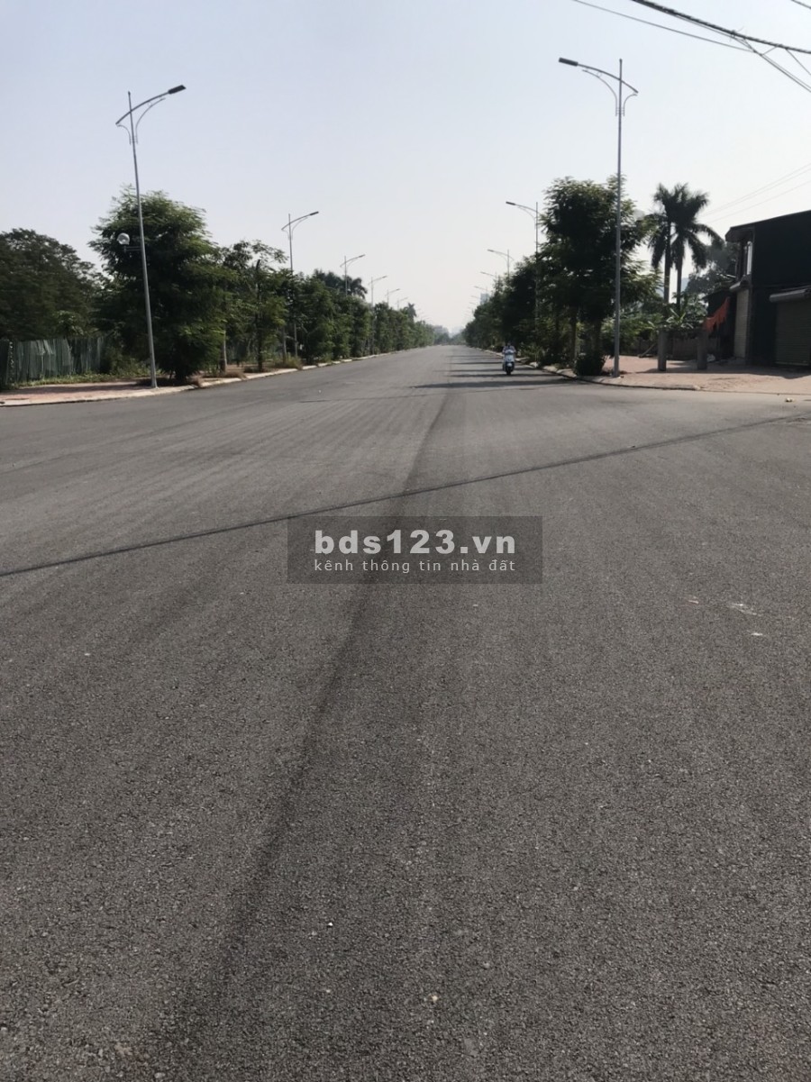 Chính chủ bán đất mặt đường Tân Phong, diện tích dtsd 60m2, kinh doanh cực tốt, lh 0977699899