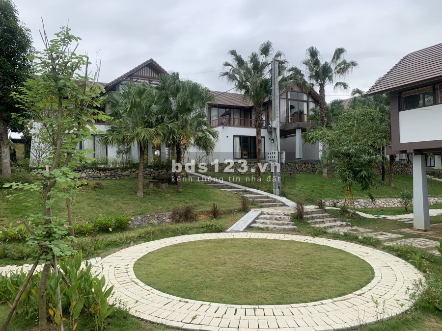Bán BT đơn lập Thang Mây Village mặt hồ Bản Xôi, diện tích 288m2, giá 14tr/m2, chiết khấu 9%