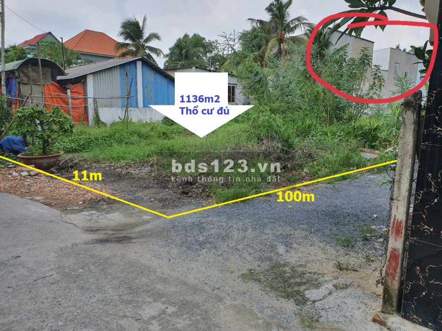 Bán đất chính chủ sổ sẵn diện tích 11x100m 1136m2, giá bán…