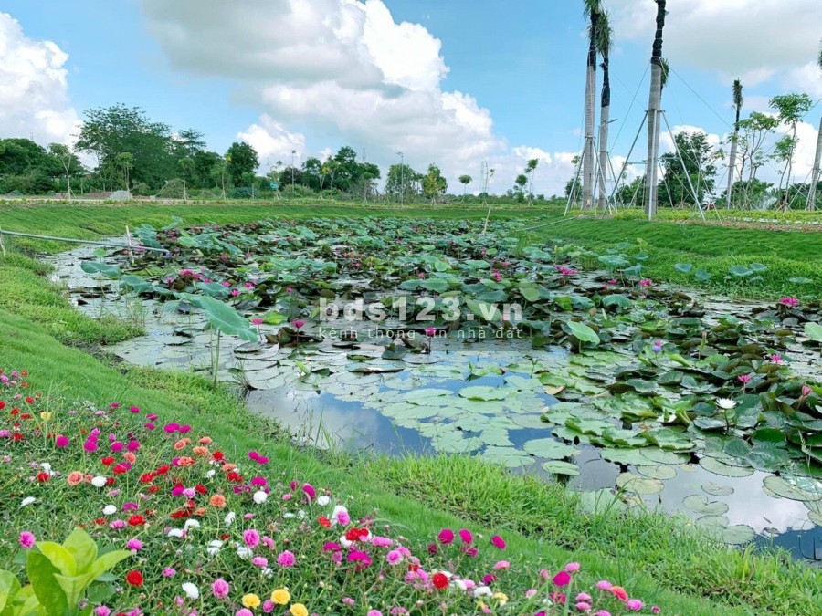 Bán đất tại đường Quốc Lộ 1A Sóc Trăng, diện tích sử dụng 100.8m2, giá bán 580 triệu