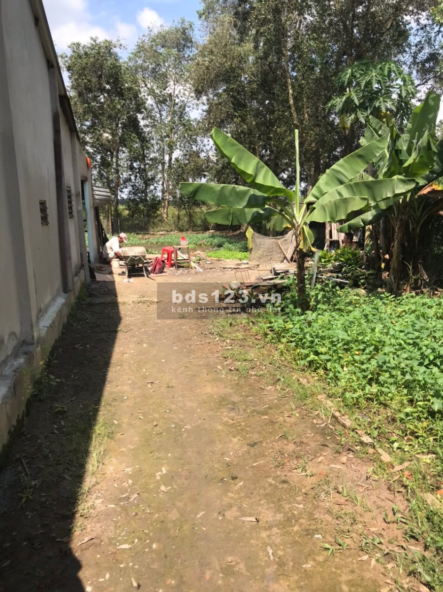 Đất thổ cư xã Trung An diện tích sử dụng 235m2 khu dân cư giá tốt pháp lý chính chủ