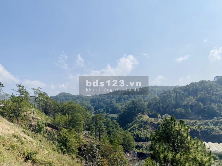 Bán đất đường Tuyền Lâm, gần đèo Prenn. Diện tích 250m2. Giá 4,5 tỷ. Tặng vàng 9999