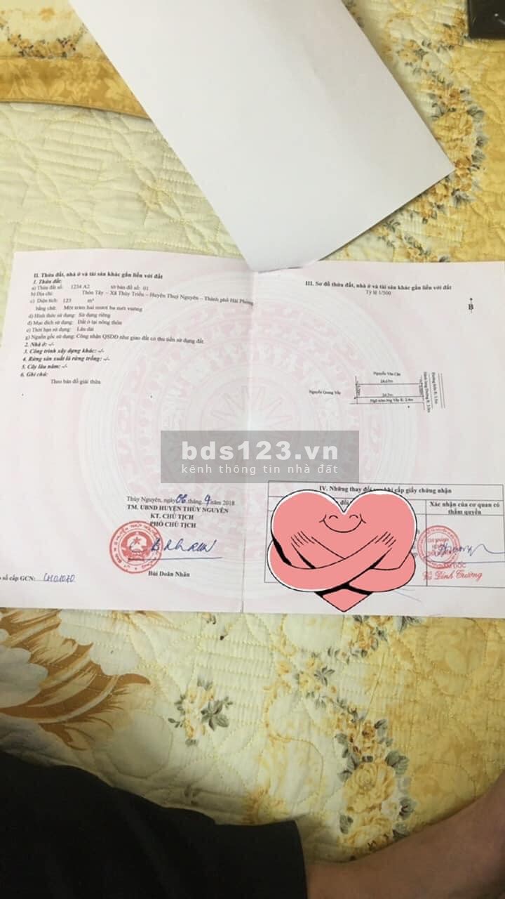 Bán căn nhà 2 tầng siêu đẹp mặt đường liên thôn Thuỷ Triều- Thuỷ Nguyên
