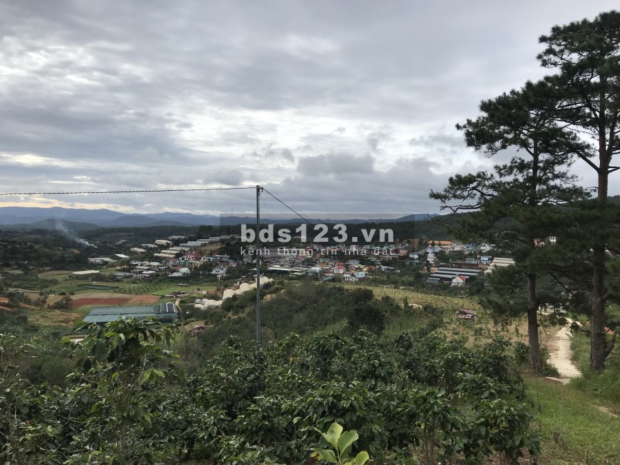 Bán đất Đà Lạt Chính chủ view đẹp tứ phía giá bán chỉ từ 3 tỷ, thương lượng, lh 0396338409