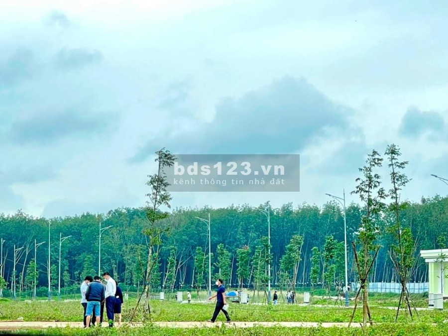 Mua bán đất nền khu đô thị Ân Phú tháng 12/2021, sổ đỏ riêng từng nền hạ tầng đồng bộ