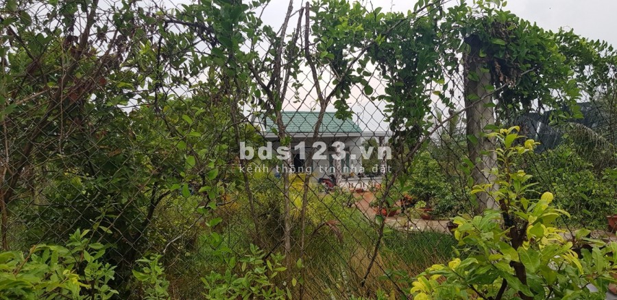 Bán đất xã Bình Lợi, huyện Bình Chánh, diện tích 1035m2 (18x59m), giá bán chỉ 2.2 tỷ