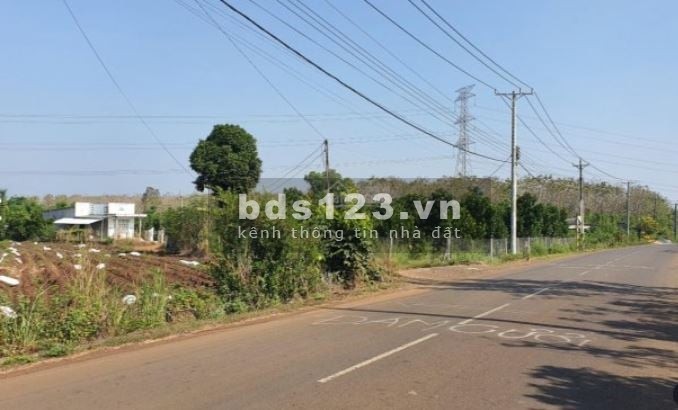 Bán đất 6250m2 Thanh Long quy hoạch thổ cư 100% sổ hồng riêng, hoa hồng 2% cho môi giới
