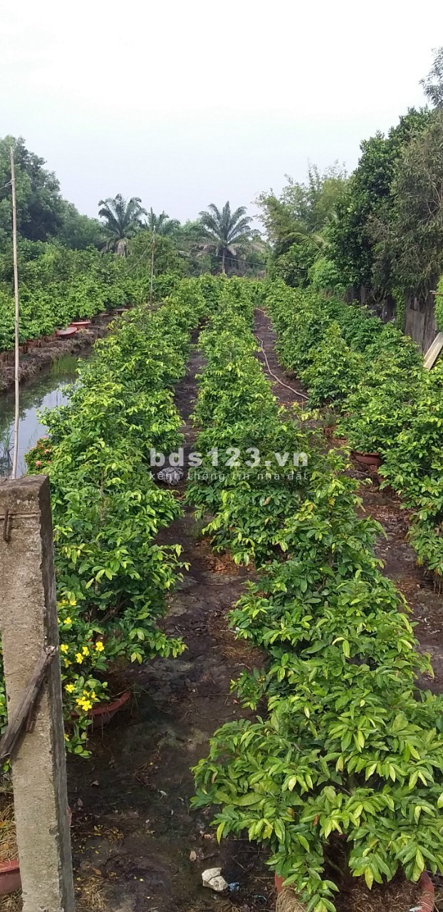 Bán đất xã Bình Lợi, huyện Bình Chánh, diện tích 1035m2 (18x59m), giá bán chỉ 2.2 tỷ