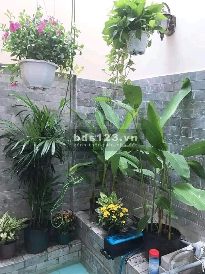 Biệt thự phố phong cách Châu Âu, mặt tiền 9m, nhỉnh 9 tỷ. LH 037.6966.383