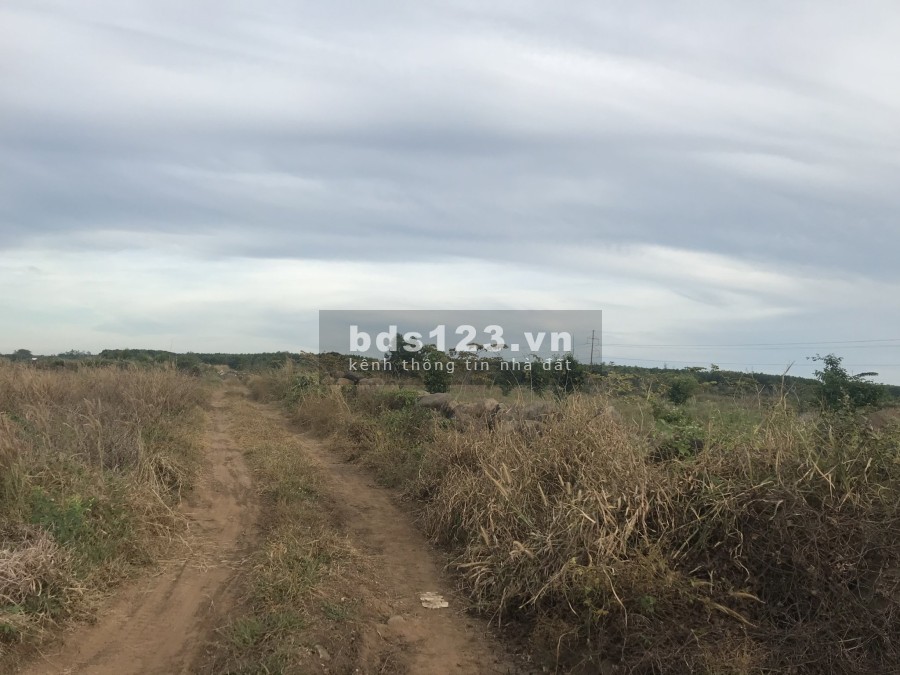 Bán lô đất diện tích 5.6ha huyện Đất Đỏ, Bà Rịa Vũng Tàu, giá cả hợp lý, khu dân cư đông đúc