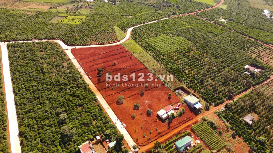 Bán đất nghỉ dưỡng ven đà lạt hỗ trợ thổ cư 100m2 Nam Hà Center View