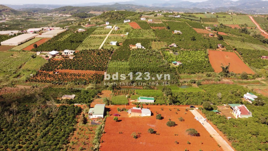 Bán đất nghỉ dưỡng ven đà lạt hỗ trợ thổ cư 100m2 Nam Hà Center View