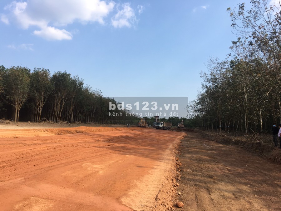Bán đất Tân Lợi, Đồng Phú, mặt tiền đường liên Xã QH 28m ngay Tuyến số 4 KCN Becamex Đồng Phú