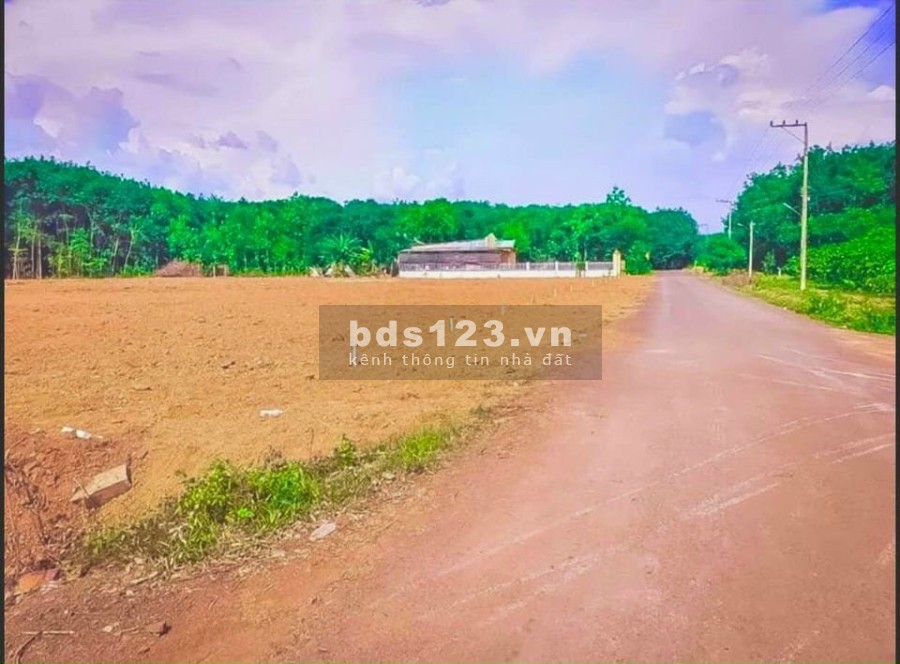 Bán đất nền tc giá đầu tư mặt tiền đường nhựa liên xã 19 - 26m Ngay TTHC Tân Hưng