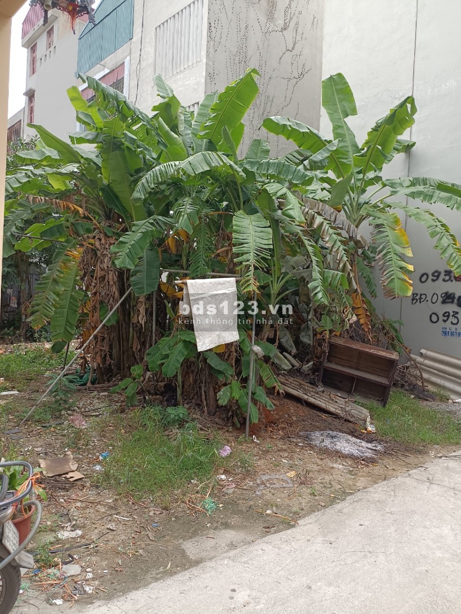 Bán lô đất diện tích 131m2 đường Dương Đình Nghệ- phường Đông Thọ- Thanh Hóa