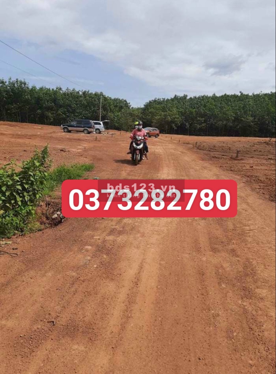 Cần bán miếng đất diện tích sử dụng 1200m2 đã có sổ pháp lý đầy đủ đường trên sổ 24m
