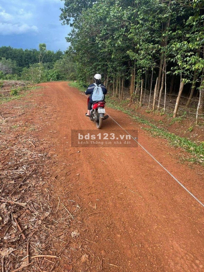 Gia đình cần bán gấp đất tại Hớn Quản - Bình Phước giá bán đầu tư sinh lời, pháp lý chính chủ