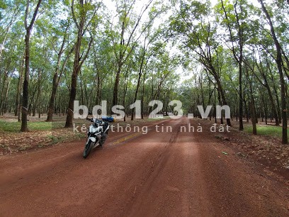 Gia đình cần bán gấp đất tại Hớn Quản - Bình Phước giá bán đầu tư sinh lời, pháp lý chính chủ