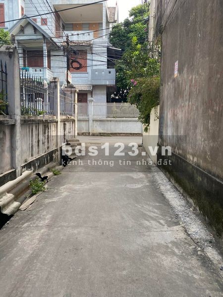 Cơ hội cho nhà đầu tư sáng suốt bán gấp lô 135m đường ô tô tại Đồng Tỉnh Nghĩa Trụ Văn Giang