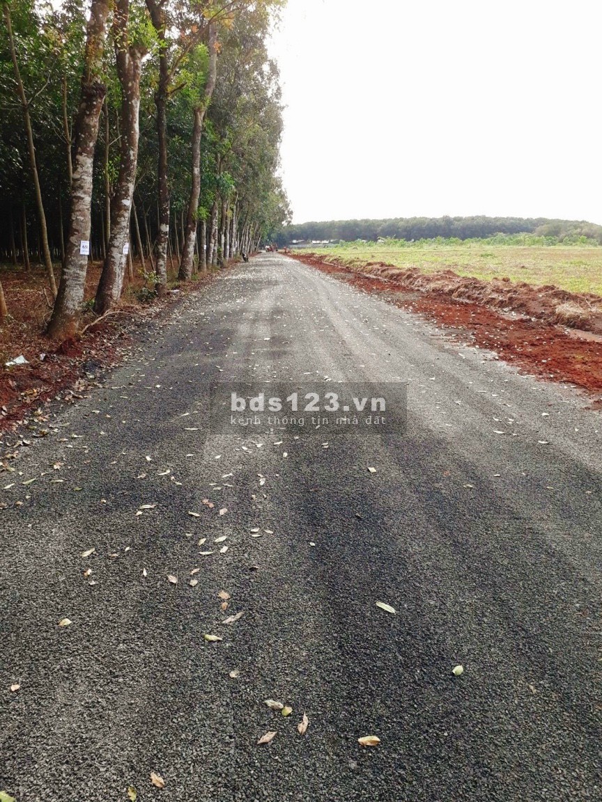 Bán đất nền thổ cư sổ sẵn, vị trí đẹp, pháp lý rõ ràng, giá bán 650 triệu, lh 0773104954